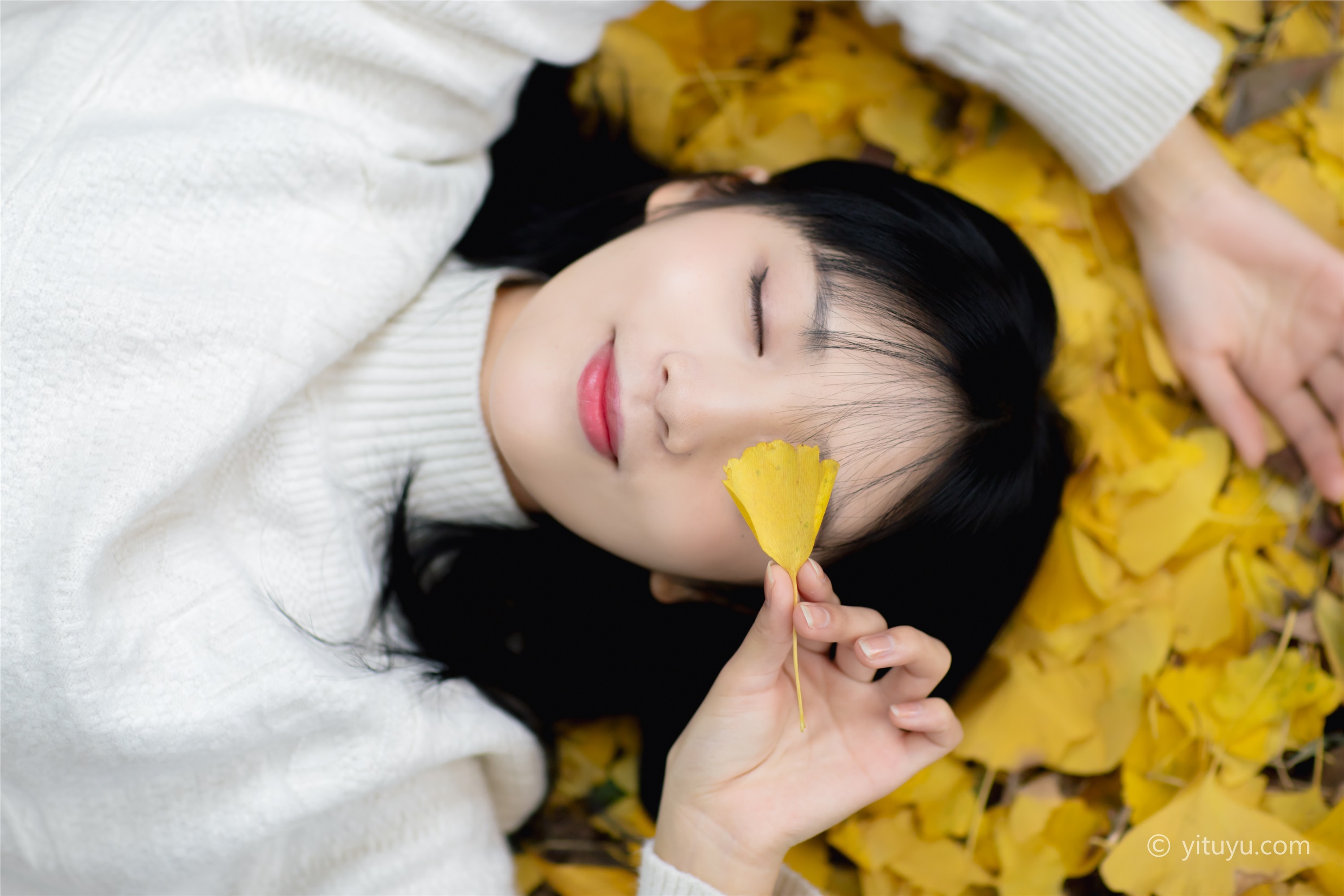 YITUYU艺图语 2021.08.14 银杏之恋 雨文